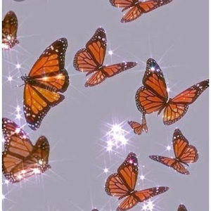 Meet your Posher, Evie